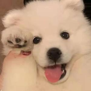 婷婷五月天丁香
